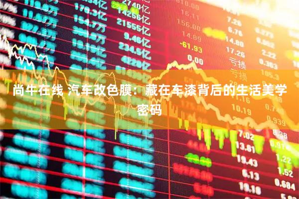 尚牛在线 汽车改色膜：藏在车漆背后的生活美学密码