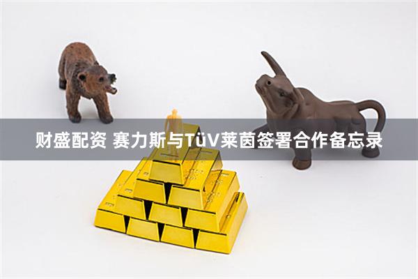 财盛配资 赛力斯与TüV莱茵签署合作备忘录