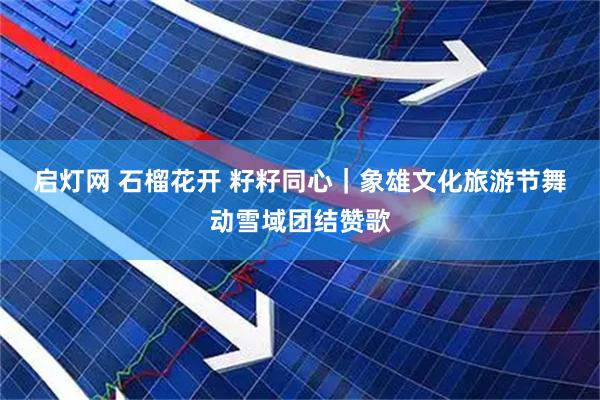 启灯网 石榴花开 籽籽同心｜象雄文化旅游节舞动雪域团结赞歌