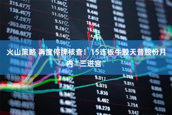 火山策略 再度停牌核查！15连板牛股天普股份月内“三进宫”