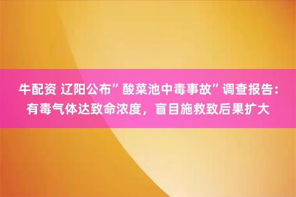 牛配资 辽阳公布”酸菜池中毒事故”调查报告：有毒气体达致命浓度，盲目施救致后果扩大