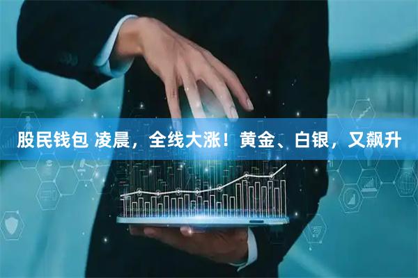 股民钱包 凌晨，全线大涨！黄金、白银，又飙升