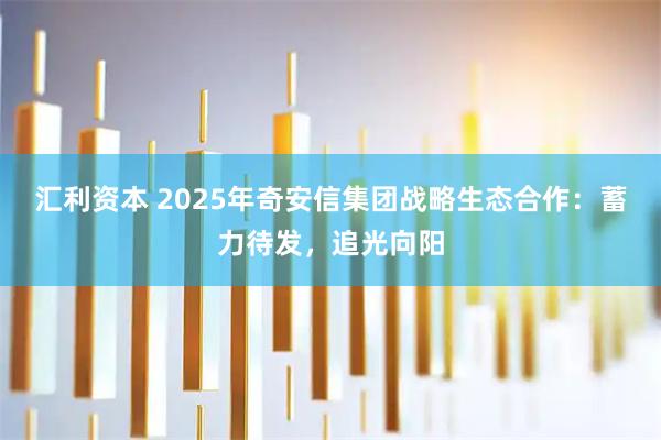 汇利资本 2025年奇安信集团战略生态合作：蓄力待发，追光向阳