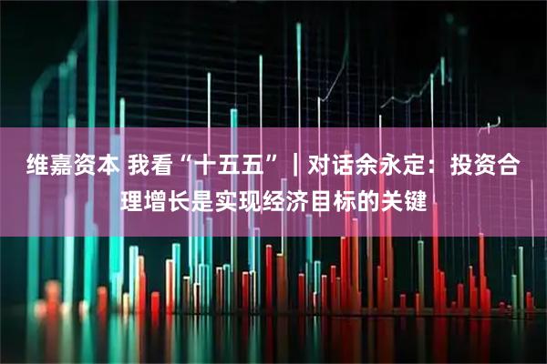 维嘉资本 我看“十五五”｜对话余永定：投资合理增长是实现经济目标的关键
